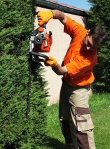 Jardinier pour taille de haie